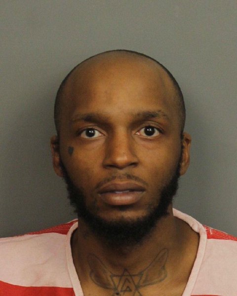 Mugshot of ELANTRA BASS