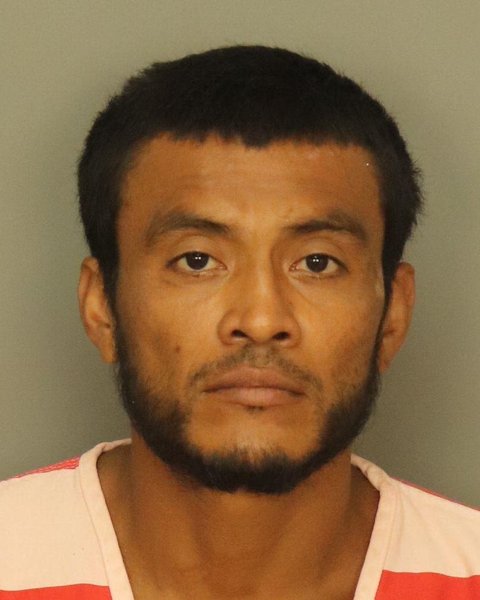 Mugshot of NELSON GIOVANNI GOMEZ-ORLLANA