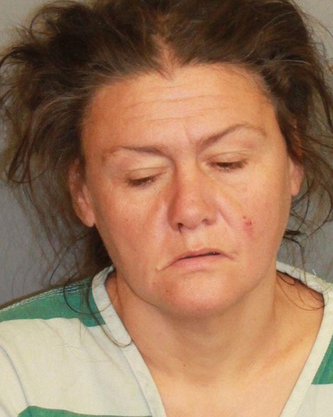 Mugshot of JANIE LEE MCCALL