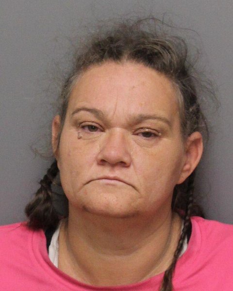 Mugshot of PAMELA BRYANT CASTILLO