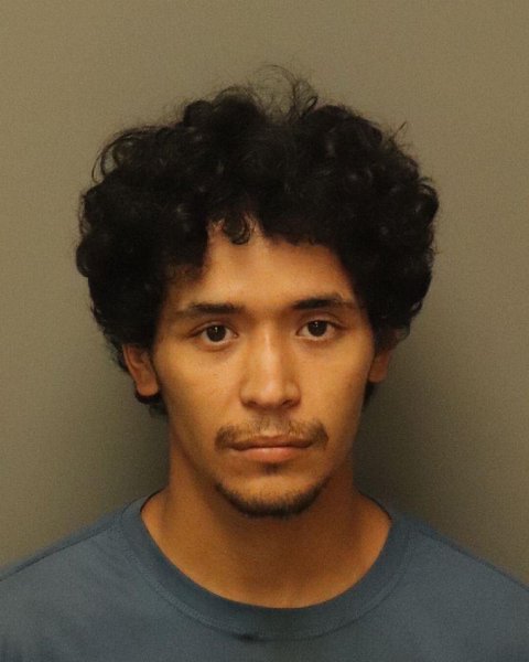 Mugshot of LUIS FERNANDO IBARRA