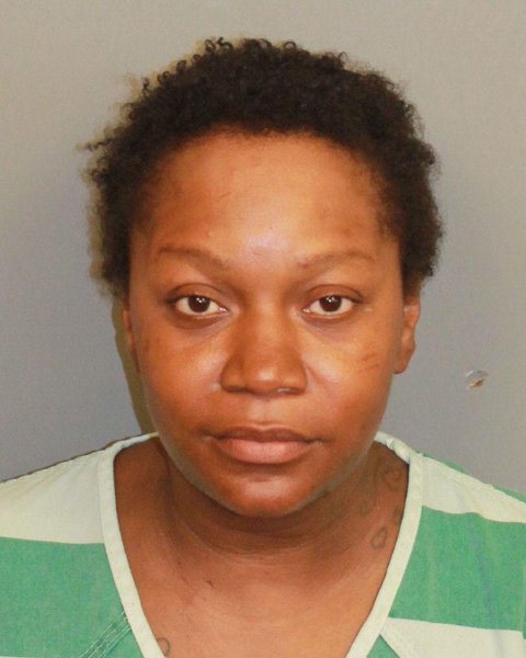 Mugshot of ERICA SHEREE KEITH