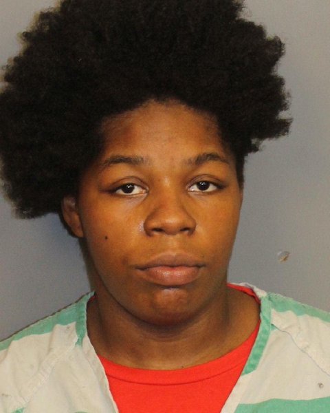 Mugshot of LAVARIA ALYCIA WATKINS
