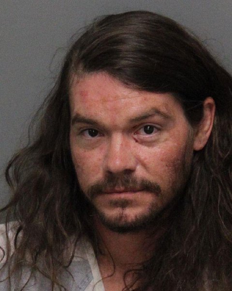 Mugshot of RICHARD BRETTON SKINNER