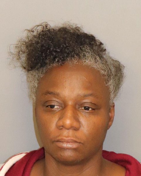 Mugshot of ERICA DUPREE STOVES