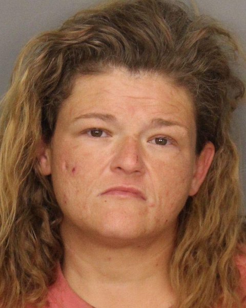 Mugshot of DANIELLE SHEREE LITTLE
