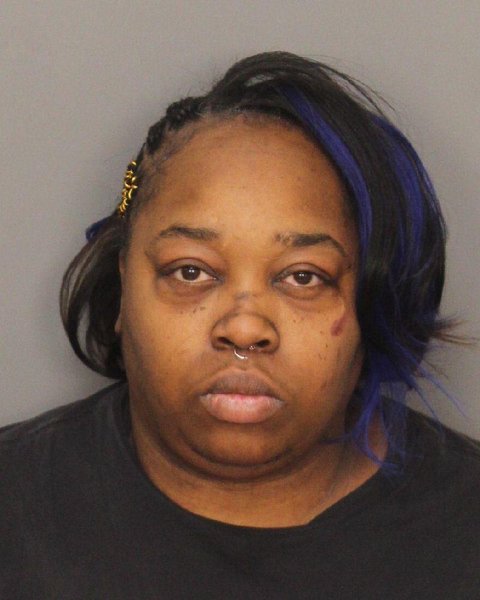Mugshot of TOMEKA DANIELLE BRYANT