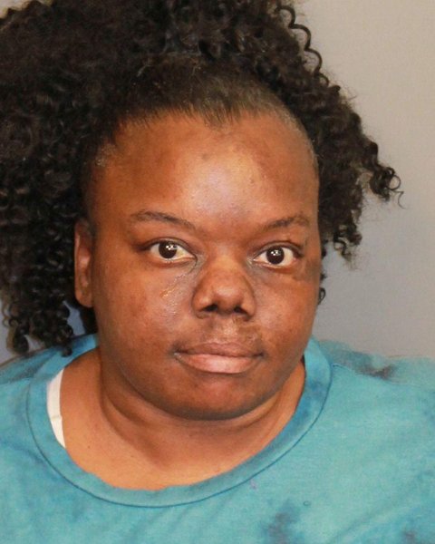 Mugshot of ERICA TASHAE OWENS