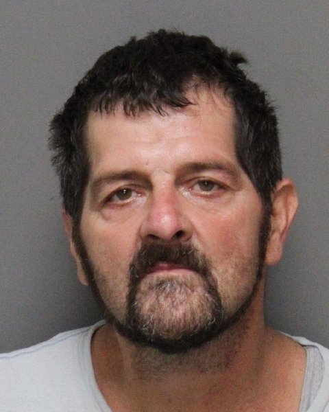 Mugshot of RICKY DALE MELTON