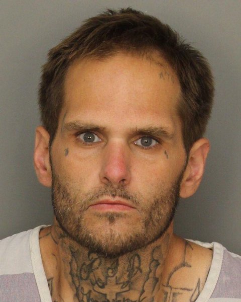 Mugshot of DARREN WADE Junior MIDDLETON
