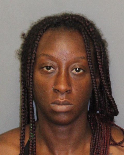 Mugshot of ARNECHIA DASHANDA HALL