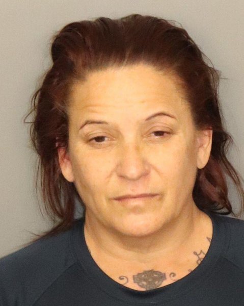 Mugshot of ELIZABETH CHERYL HYDE