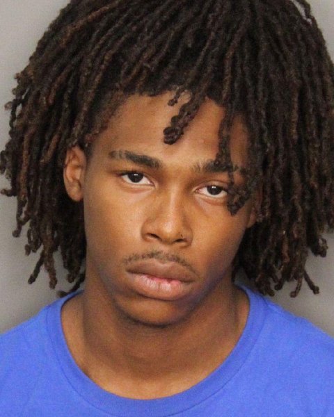 Mugshot of NIE'SEAN EARL FANNING