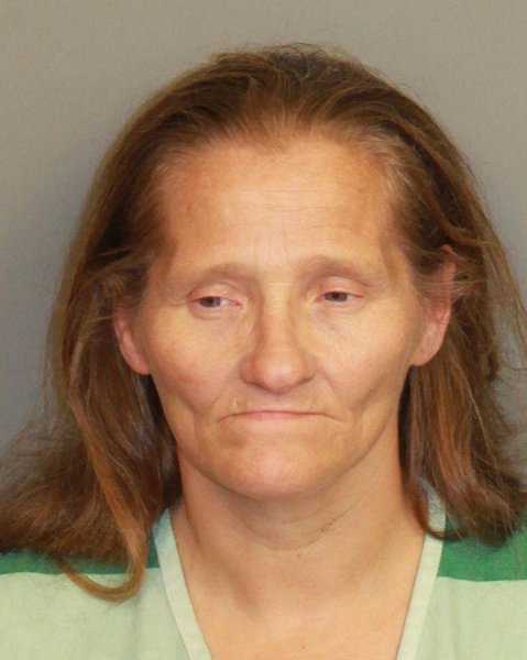 Mugshot of RACHEL ANN WARREN