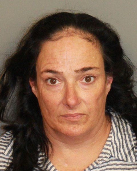 Mugshot of LORI JANE BEESE