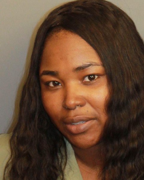Mugshot of TRECHELLE DANCHE SHADEE