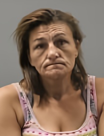 Mugshot of SUSAN ANN JANSEN