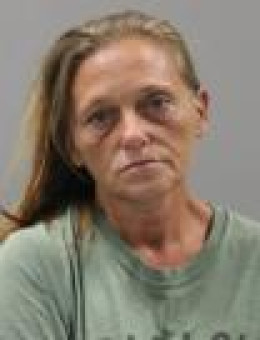 Mugshot of CHRISTINA MACHELLE MCNEESE