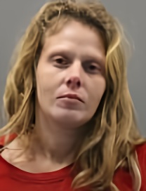 Mugshot of BROOKLYN JEAN TEMPLETON