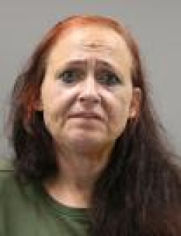 Mugshot of MARIE ANNE MARHEINE