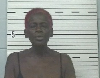Mugshot of MELA LASHORE