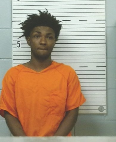 Mugshot of JAMIEN WILLIAMS