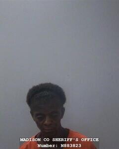 Mugshot of YOLANDA N BATTLE