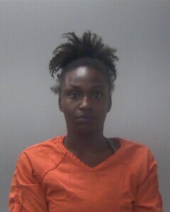Mugshot of DEMETRUIS C HORTON