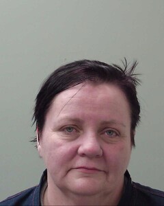 Mugshot of BRENDA L SMITH