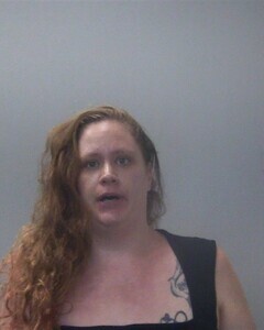 Mugshot of JILL N MINNIHAN