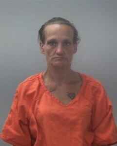 Mugshot of MELISSA D FRANKLIN