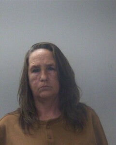 Mugshot of STEPHANIE M HILLIS