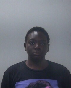 Mugshot of MARISSA E MURPHY