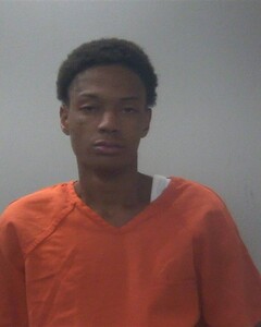 Mugshot of BRANDON D LANGFORD