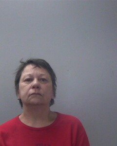 Mugshot of WANDA J DAVID