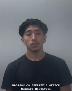 Mugshot of VICTOR H DIAZ PINTO