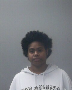 Mugshot of DIAMOND D HAMLET
