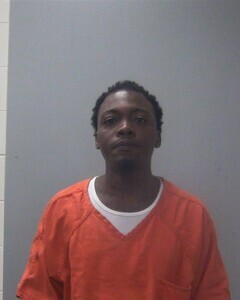 Mugshot of JOHNNIE R BURNS