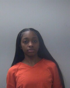 Mugshot of ELYSECIA L PARKER