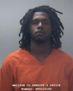 Mugshot of ALAN O LEWIS