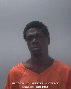 Mugshot of TERRY L HENRY