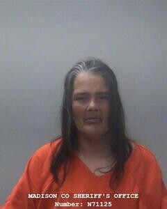 Mugshot of AMY M CHESNEY