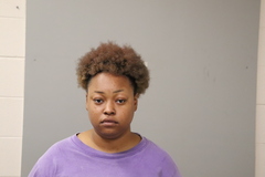 Mugshot of ALECIA L JACKSON-BRIGGS