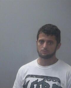 Mugshot of BRIAN L SELF