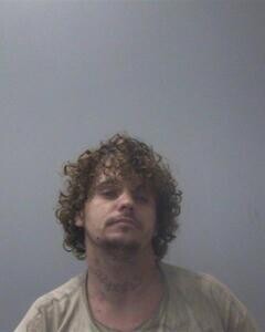 Mugshot of MICHAEL P WHITT