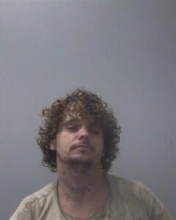 Mugshot of MICHAEL P WHITT