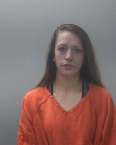 Mugshot of MARY A BOWAB