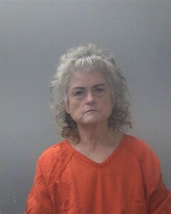 Mugshot of CYNTHIA A NEHRING