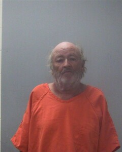 Mugshot of PHILLIP D LANIER
