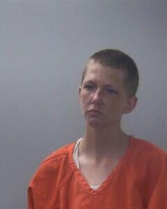 Mugshot of DANNIE J ALLEN